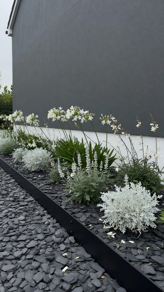 1 a modern front garden bed photographed in bright o