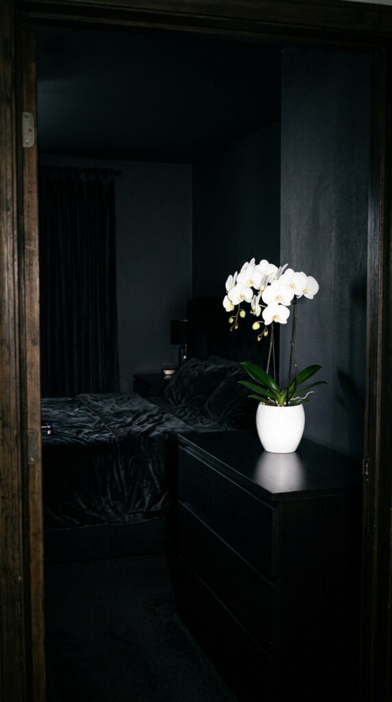 025 image prompt a dark bedroom with a single bright o